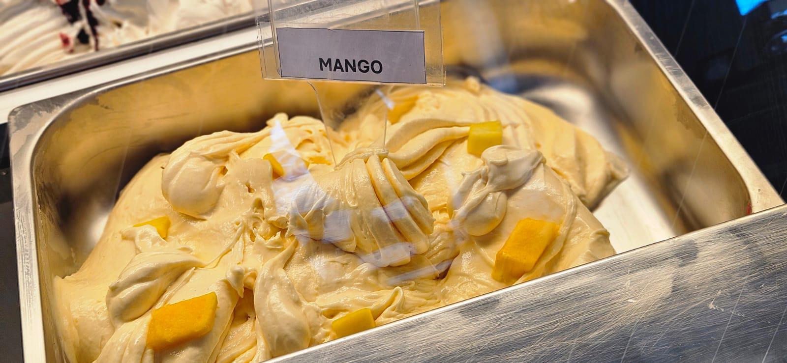 Gelato artizanal 5