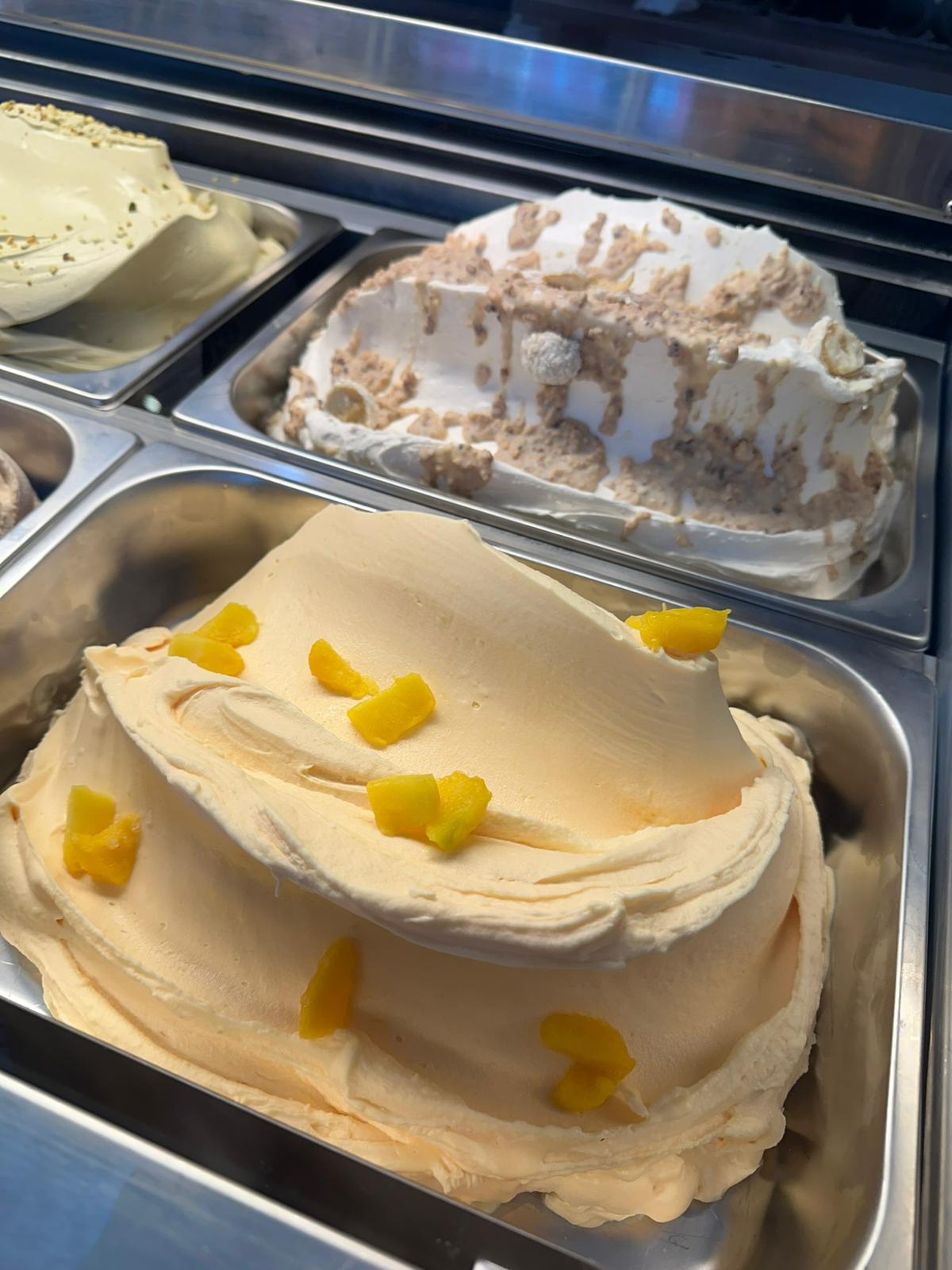 Gelato artizanal 9