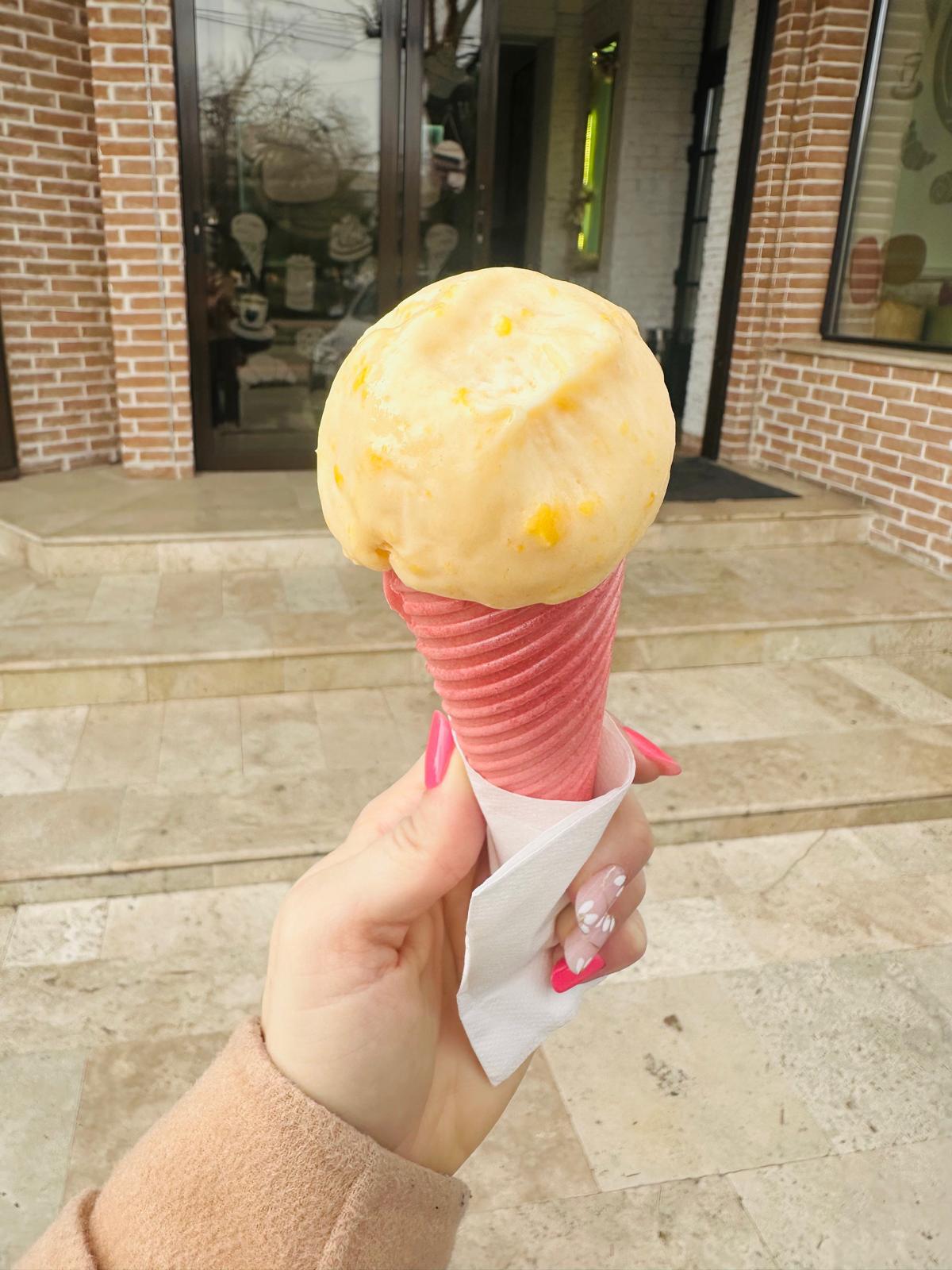 Vitrina cu înghețată artizanală